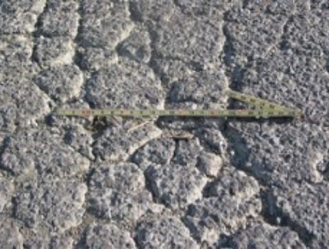 Fatigue crack failure with high damage severity